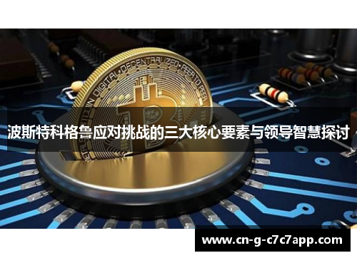 波斯特科格鲁应对挑战的三大核心要素与领导智慧探讨 波斯特科格鲁应对挑战的三大核心要素与领导智慧探讨