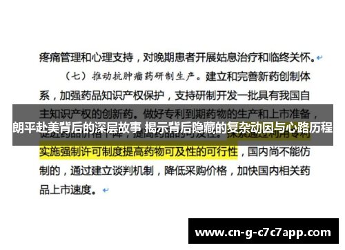 朗平赴美背后的深层故事 揭示背后隐藏的复杂动因与心路历程 朗平赴美背后的深层故事 揭示背后隐藏的复杂动因与心路历程