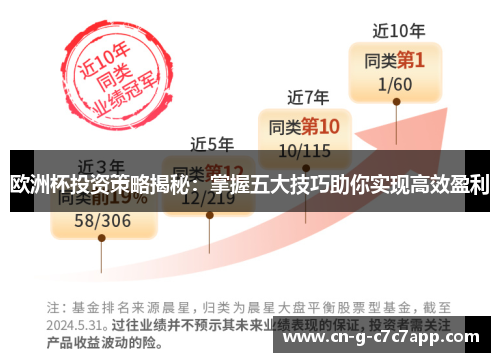 欧洲杯投资策略揭秘：掌握五大技巧助你实现高效盈利